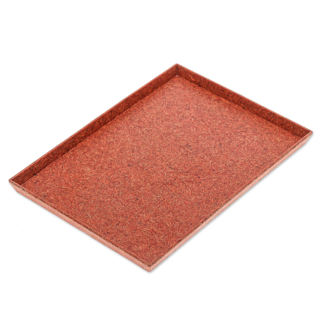 Orange Recycled Coconut Fiber Bio-Composite Tray - Orange Ambience
