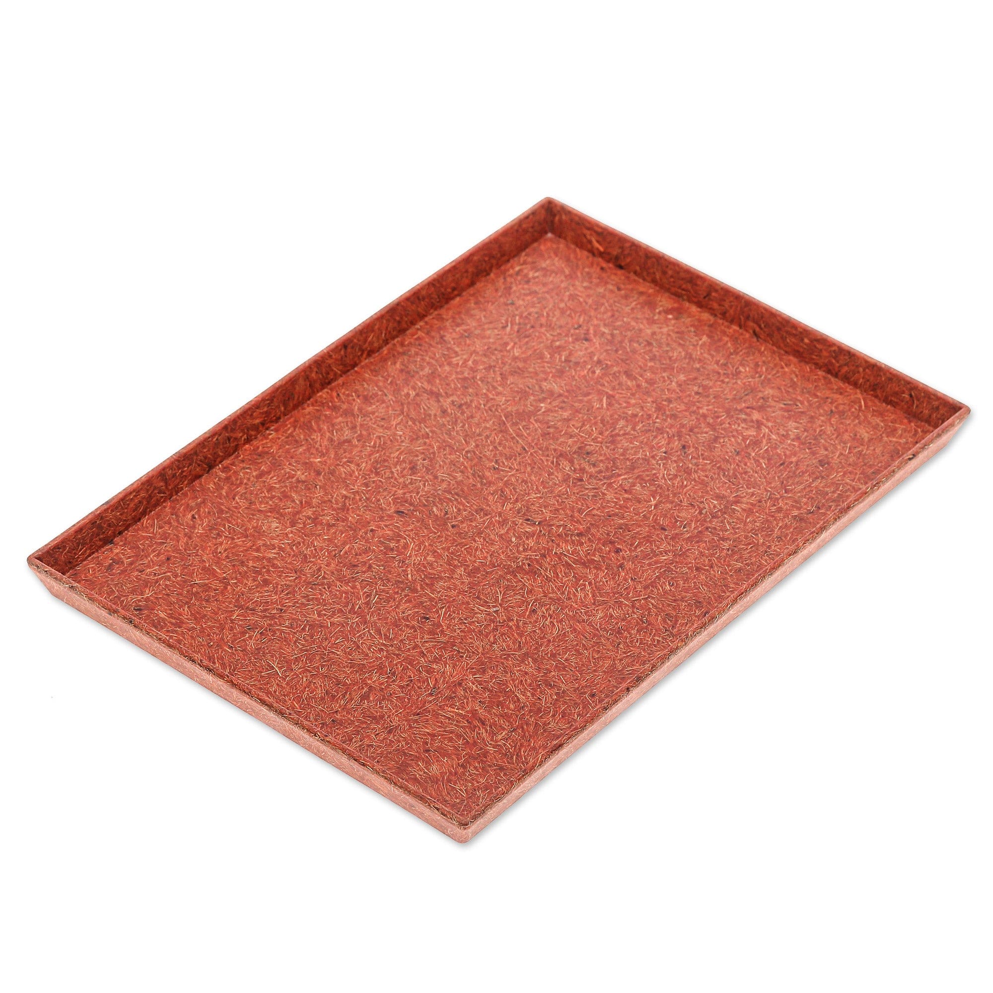 Orange Recycled Coconut Fiber Bio-Composite Tray - Orange Ambience