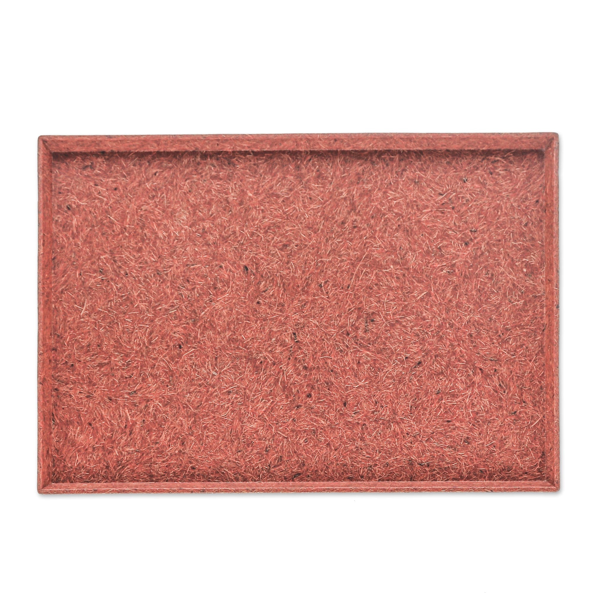 Orange Recycled Coconut Fiber Bio-Composite Tray - Orange Ambience