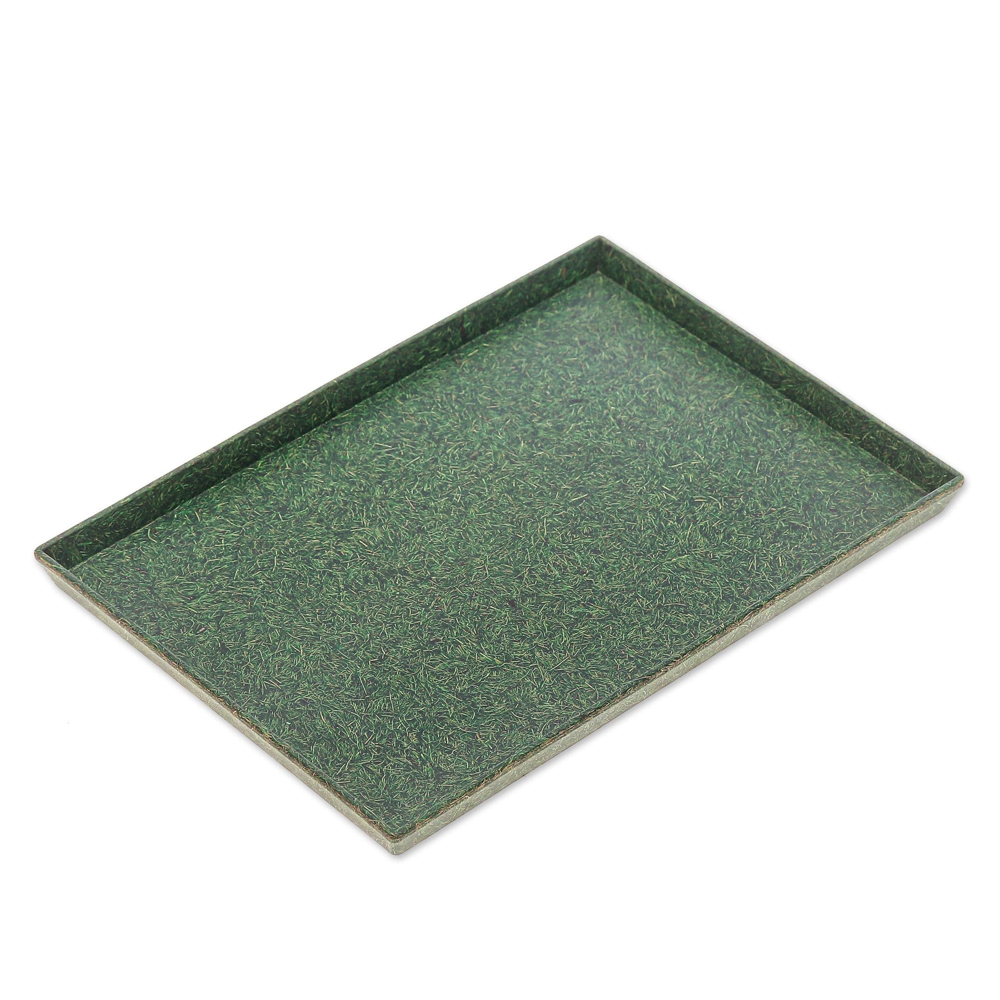 Green Recycled Coconut Fiber Bio-Composite Tray - Green Ambience