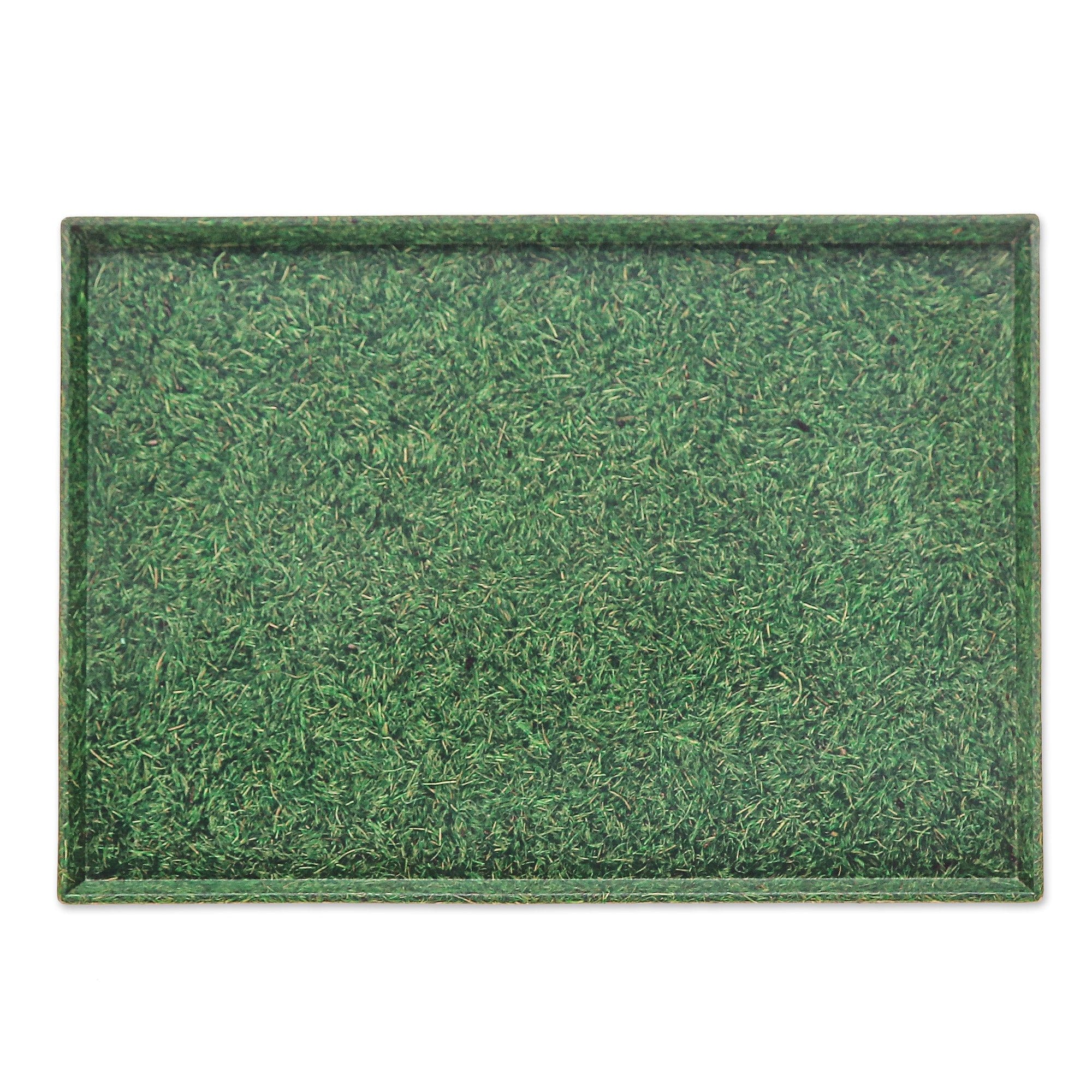 Green Recycled Coconut Fiber Bio-Composite Tray - Green Ambience