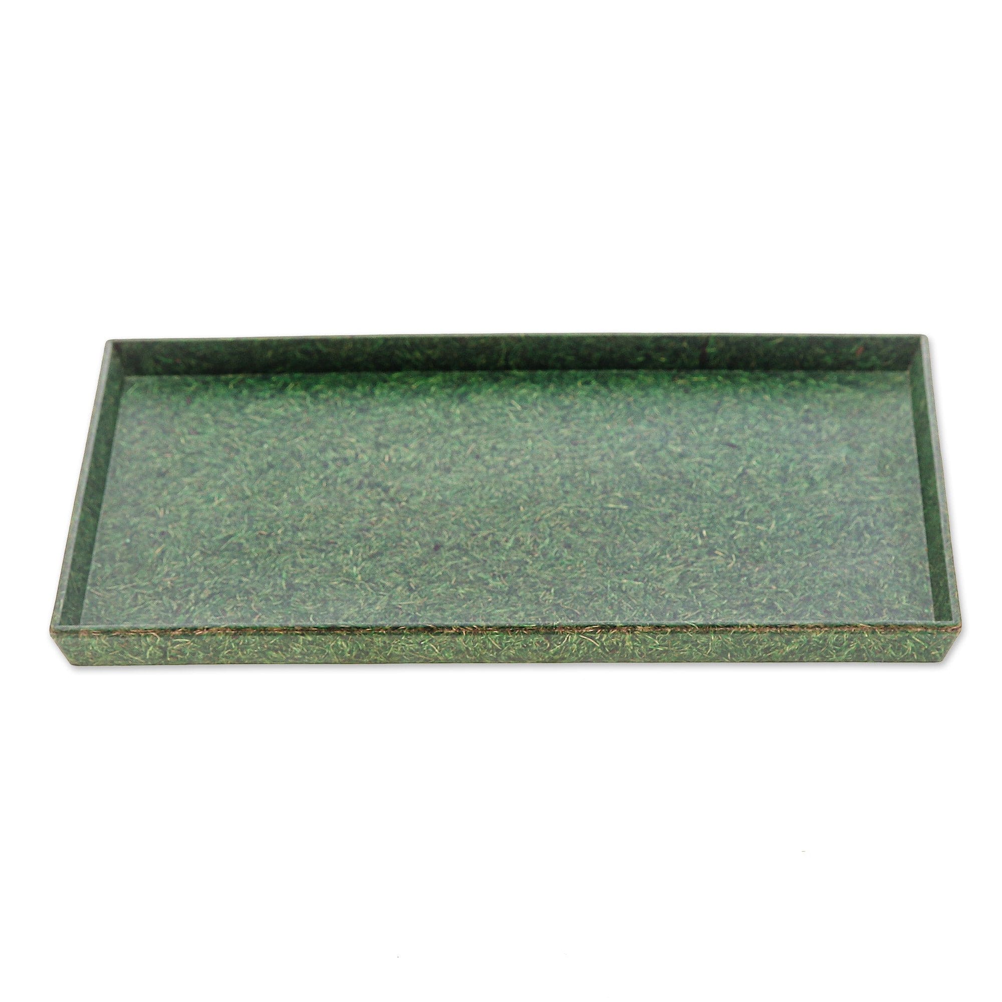 Green Recycled Coconut Fiber Bio-Composite Tray - Green Ambience